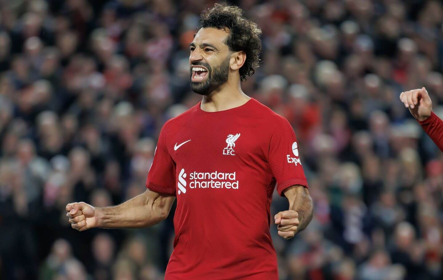 Kaiyun官网-包含里程碑夜阿贾克斯官宣签约利物浦迎足总杯关键赛，穆雷在MAD比赛中官方发布新规瞬间刷屏的词条-Kaiyun官网